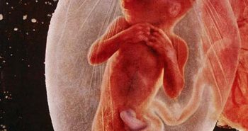 Lennart Nilsson, captured the first photographs of unborn babies in their mothers womb