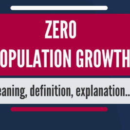 ZPG the idea that there's a number of children that the average parent should have in order to keep the population size from increasing.