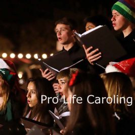 One of our most beloved activities of the year, the Pro-Life Action League’s “Peace in the Womb” Caroling Day.